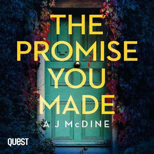 book cover for The Promise You Made