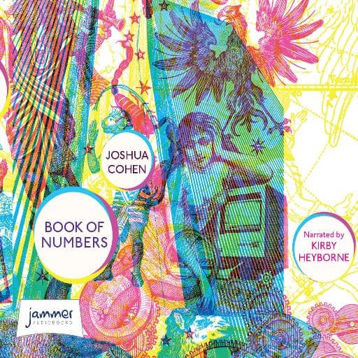 book cover for Book of Numbers