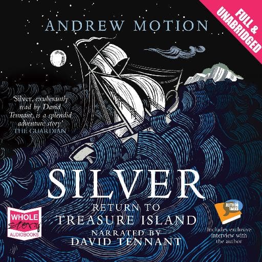 book cover for Silver