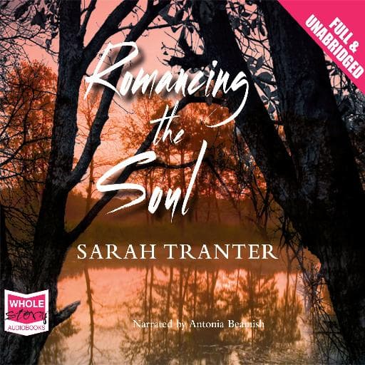 book cover for Romancing The Soul