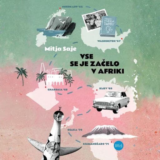 book cover for Vse se je začelo v Afriki