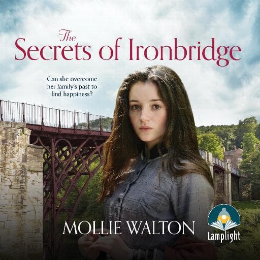 book cover for The Secrets of Ironbridge