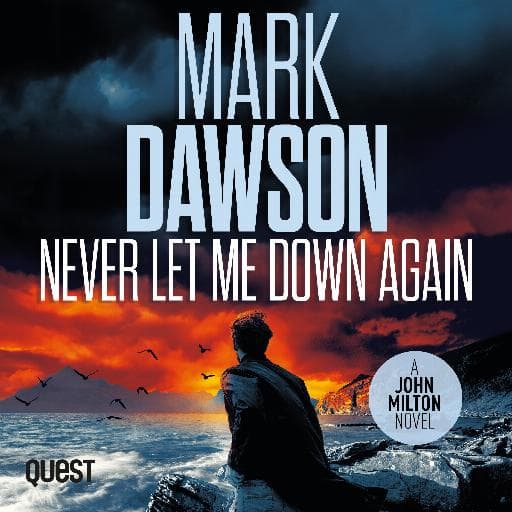 book cover for Never Let Me Down Again