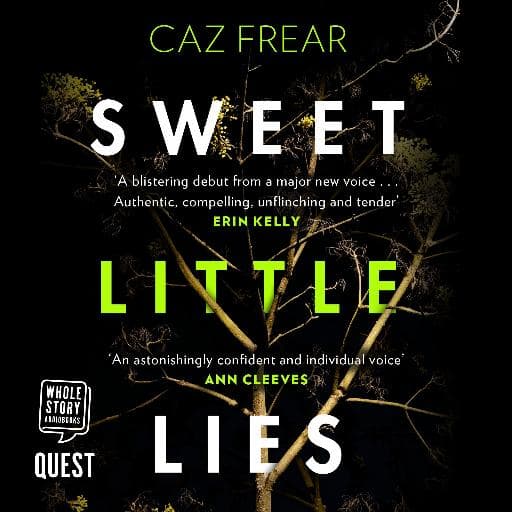 book cover for Sweet Little Lies