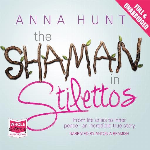 book cover for The Shaman in Stilettos