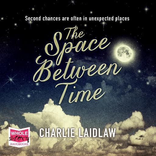 book cover for The Space Between Time