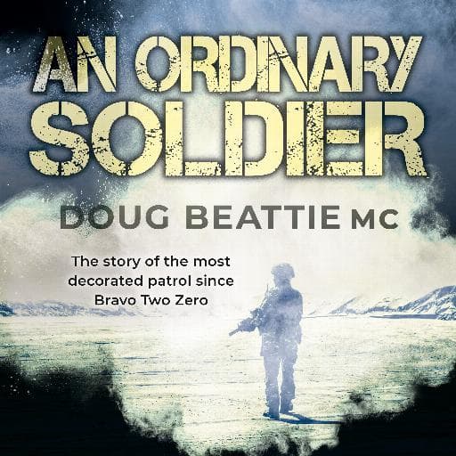 book cover for An Ordinary Soldier