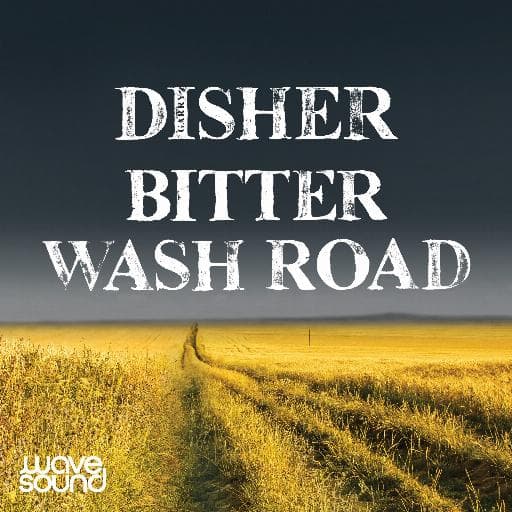 book cover for Bitter Wash Road