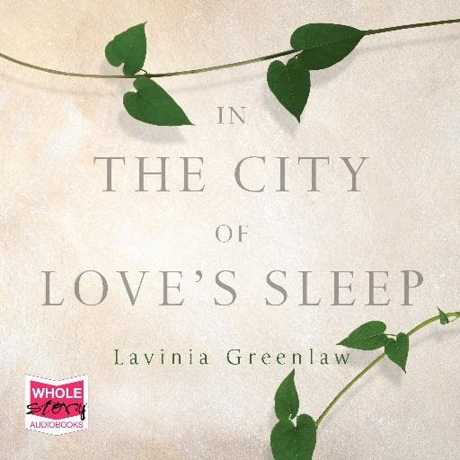 book cover for In the City of Love's Sleep