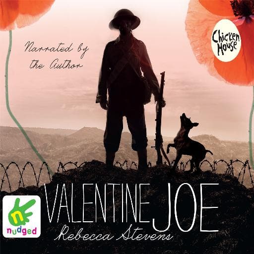 book cover for Valentine Joe