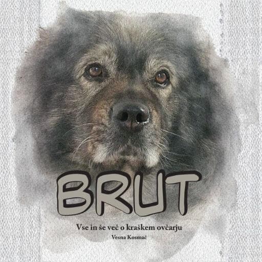 book cover for Brut