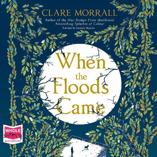 book cover for When The Floods Came