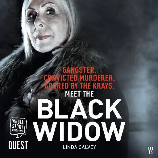book cover for The Black Widow