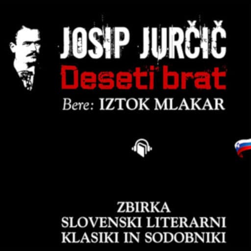 book cover for Deseti brat