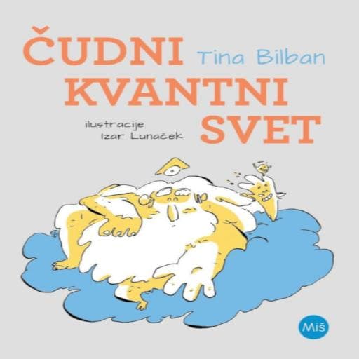 book cover for Čudni kvantni svet