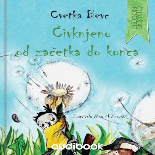 book cover for Čivknjeno od začetka do konca