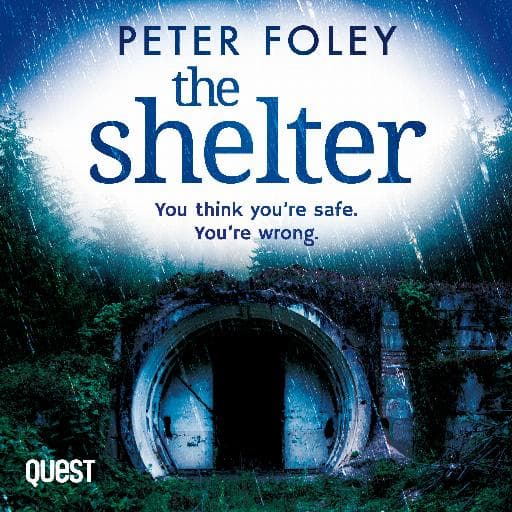 book cover for The Shelter