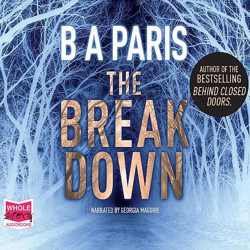 book cover for The Breakdown