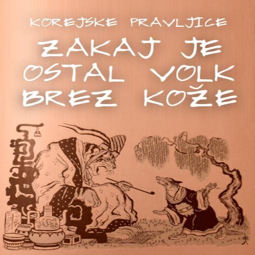 book cover for Zakaj je ostal volk brez kože