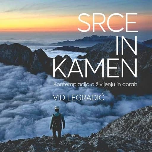 book cover for Srce in kamen