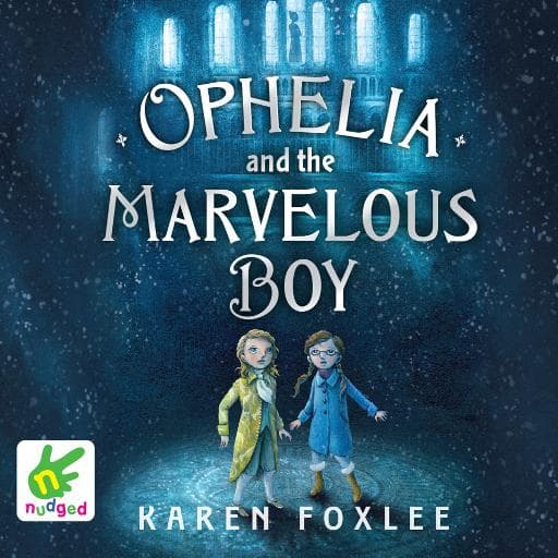 book cover for Ophelia and the Marvellous Boy