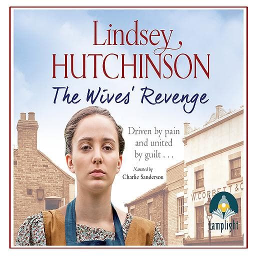 book cover for The Wives' Revenge
