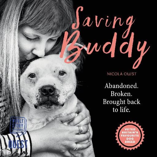 book cover for Saving Buddy