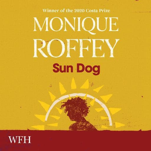 book cover for Sun Dog