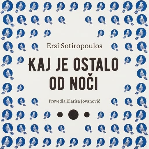 book cover for Kaj je ostalo od noči