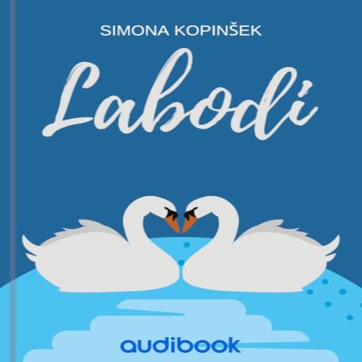 book cover for Labodi