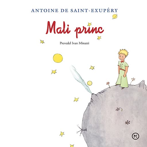 book cover for Mali princ