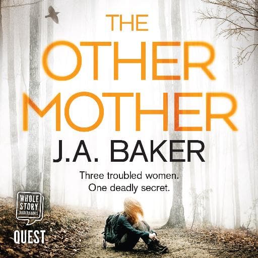 book cover for The Other Mother