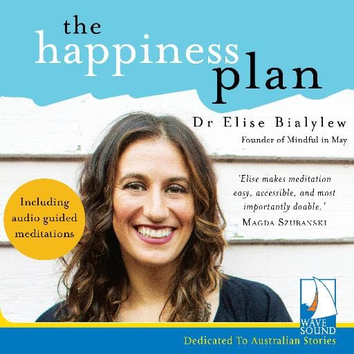 book cover for The Happiness Plan