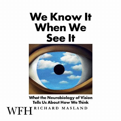 book cover for We Know It When We See It