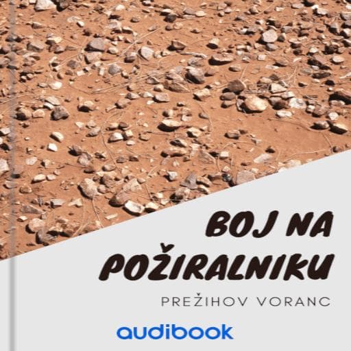 book cover for Boj na požiralniku