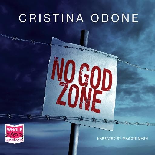 book cover for No God Zone
