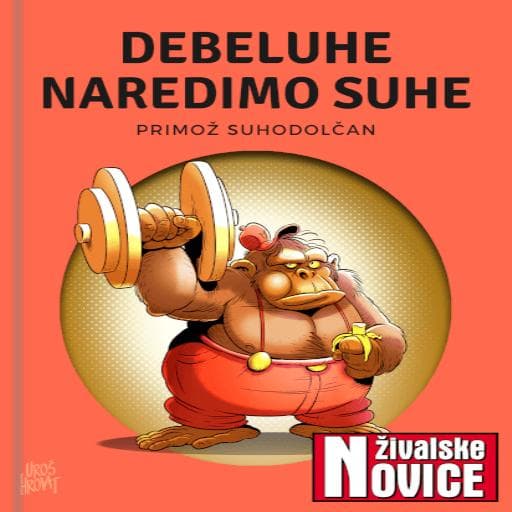 book cover for Debeluhe naredimo suhe