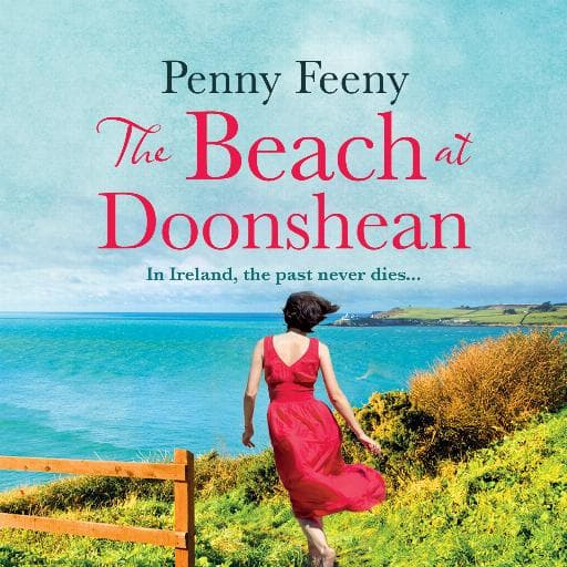 book cover for The Beach at Doonshean