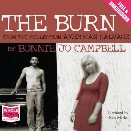 book cover for The Burn