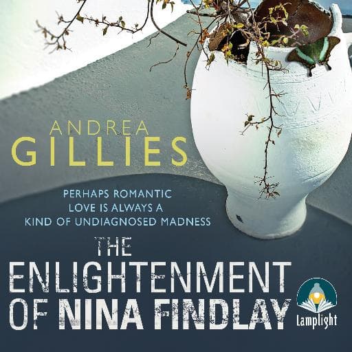 book cover for The Enlightenment of Nina Findlay