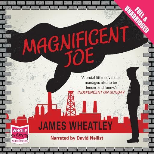 book cover for Magnificent Joe