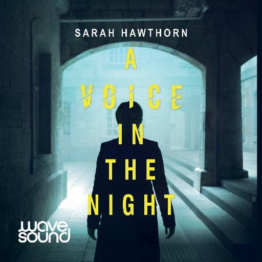 book cover for A Voice in the Night