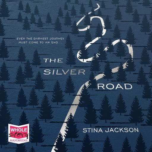book cover for The Silver Road