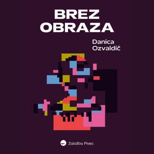 book cover for Brez obraza