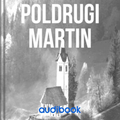 book cover for Poldrugi Martin