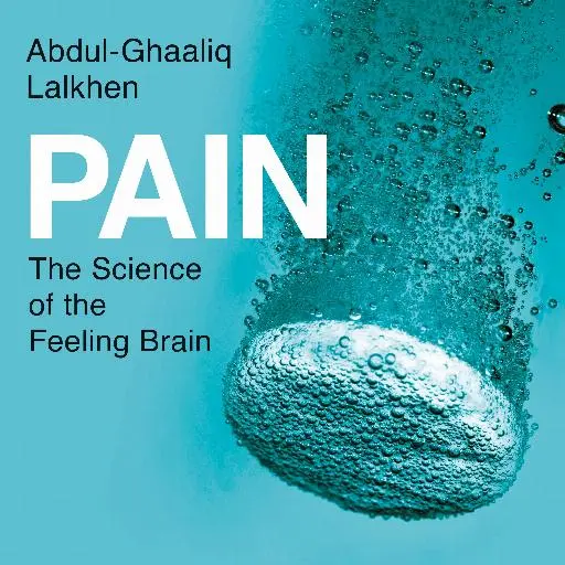 book cover for Pain