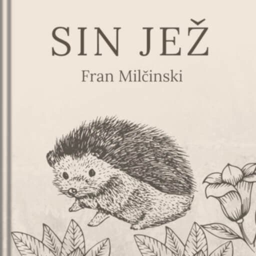 book cover for Sin jež