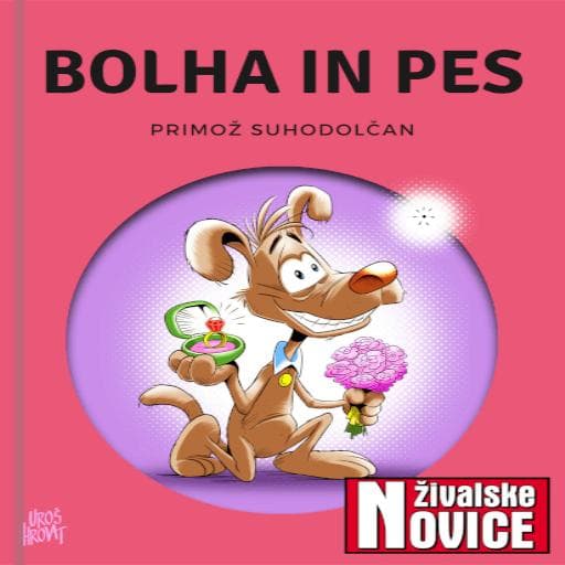 book cover for Bolha in pes