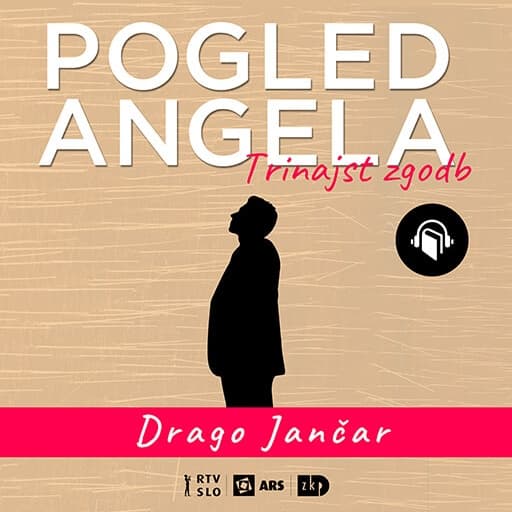 book cover for Pogled angela