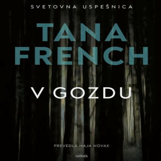 book cover for V gozdu